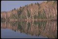 236029 Spring Reflections A4 Photo Print