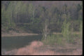 236030 Soft green Tones A4 Photo Print