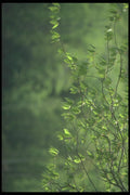 236039 Spring Foliage A4 Photo Print