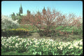 236054 Parliament Hill A4 Photo Print