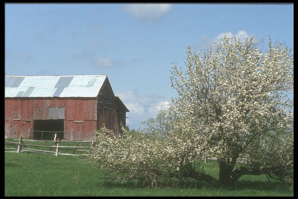 236058 Red Barn A4 Photo Print