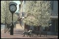 236059 Main Street A4 Photo Print