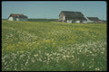 236062 Wildflower Vista A4 Photo Print