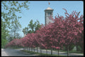 236067 Grant Hall, Queen's University A4 Photo Print