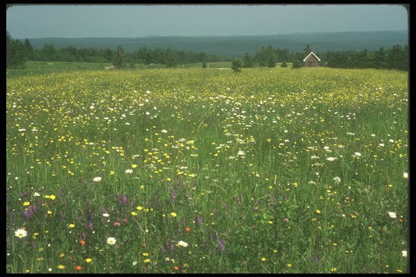236073 Spring In The Beauce A4 Photo Print