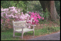 236085 The Garden Bench A4 Photo Print
