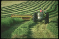 236089 Cutting Hay A4 Photo Print