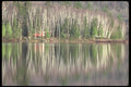 236093 Spring View A4 Photo Print