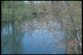 236095 Placid River A4 Photo Print