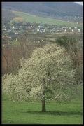 236099 Spring Landscape A4 Photo Print