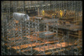 237020 Steel Supports For Concrete Floor Forms A4 Photo Print