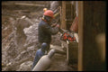 237096 Foundation Worker Sharpening Chainsaw A4 Photo Print
