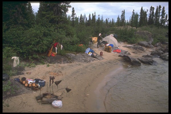 238002 Otter Campsite A4 Photo Print