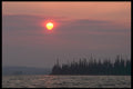 238003 Otter Sunset A4 Photo Print