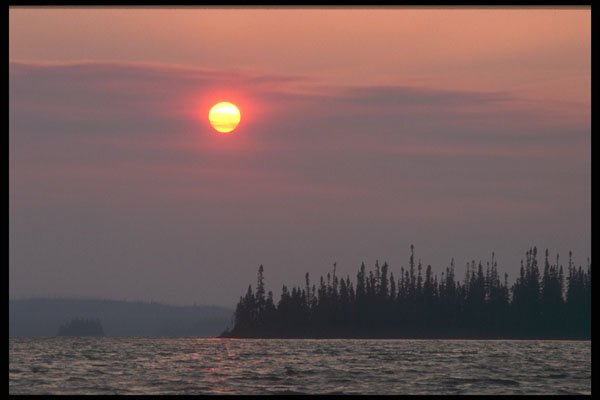 238003 Otter Sunset A4 Photo Print