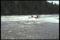 238009 Pull Her In A4 Photo Print