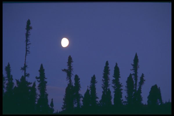 238011 Moon Rise A4 Photo Print