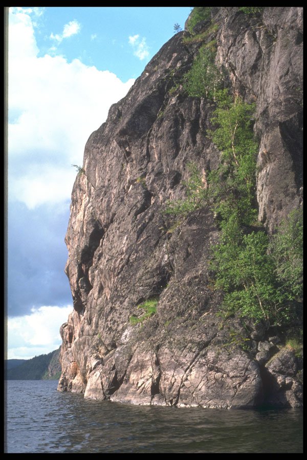 238029 Birches On Cliff A4 Photo Print