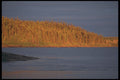 238030 Rich Light A4 Photo Print