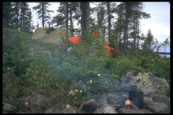 238050 Tents Through The Trees A4 Photo Print