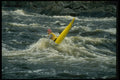 238060 Nose Down A4 Photo Print
