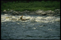 238066 Below The Water A4 Photo Print