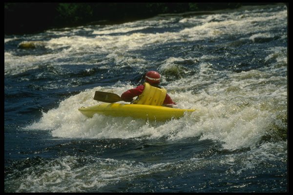 238094 What Fun A4 Photo Print