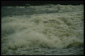 238097 What Force A4 Photo Print