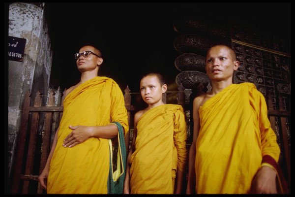 239013 Thai Buddhist Monks And Acolyte, Bangkok A4 Photo Print