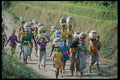 239019 Indonesian Village Procession, Bali A4 Photo Print