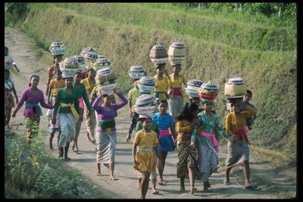 239019 Indonesian Village Procession, Bali A4 Photo Print