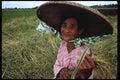 239023 Farm Woman, Central Philippines A4 Photo Print