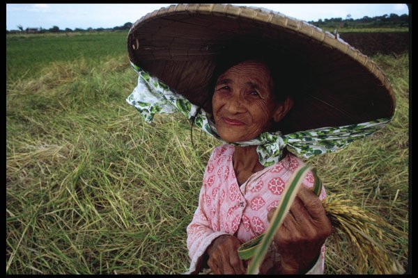 239023 Farm Woman, Central Philippines A4 Photo Print