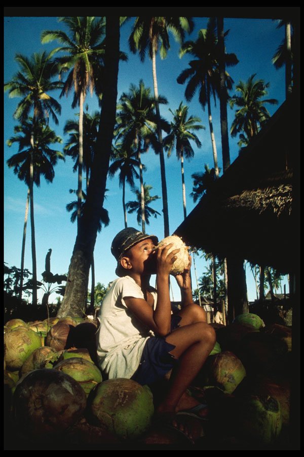 239024 Boy Drinking From Coconut, Southern Philippines A4 Photo Print