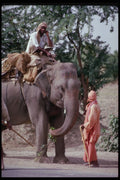 239025 Turbaned Elephant men, Agra, India A4 Photo Print