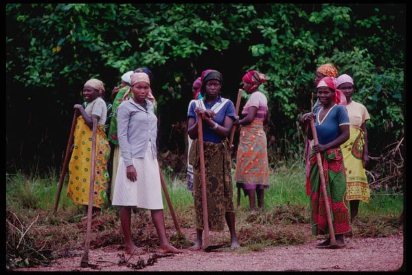239050 African Hutu Women, Road Gang, Rwanda A4 Photo Print