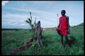 239054 Masai Shepherd Boy, Kenya A4 Photo Print