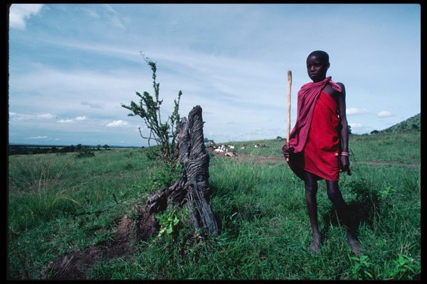 239054 Masai Shepherd Boy, Kenya A4 Photo Print