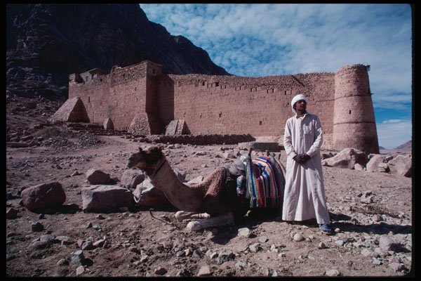 239060 Camel Driver, St. Catherine's Monastery, Sinai, Egypt A4 Photo Print