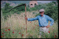 239082 Farmer, Ephesus, Turkey A4 Photo Print