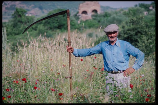 239082 Farmer, Ephesus, Turkey A4 Photo Print