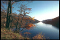 241011 Thirlmere At Withburn, Lake District, England A4 Photo Print