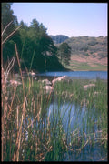 241016 Blea Tarn, Lake District, England A4 Photo Print