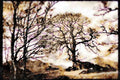 241033 Glavagate Roman Fort Ambleside, Lake District, England A4 Limited Edition Watercolour Print