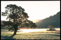 241036 Rydal Water, Lake District, England A4 Photo Print