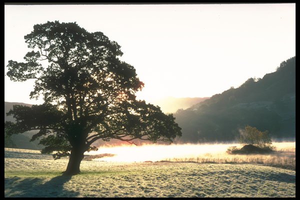 241036 Rydal Water, Lake District, England A4 Photo Print