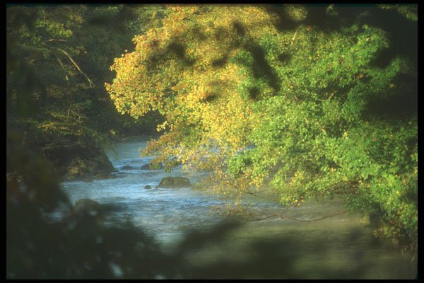 241037 River Brathay, Lake District, England A4 Photo Print