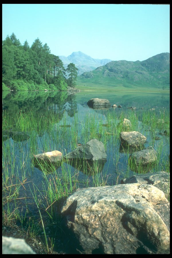 241040 Blea Tarn And Langdales, Lake District, England A4 Photo Print