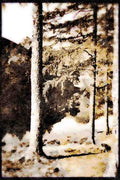 241041 Blea Tarn And Langdale Pikes, Lake District, England A4 Limited Edition Watercolour Print
