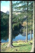 241041 Blea Tarn And Langdale Pikes, Lake District, England A4 Photo Print